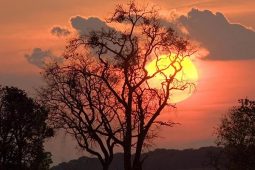 SER FELIZ TEM TUDO, PARA NOS MOTIVAR A SORRIR E AMAR INCONDICIONAL!!!