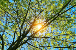 SER FELIZ É ter uma Família Linda !!!