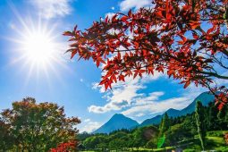 SER FELIZ É AMAR, É SABOREAR O TEMPO QUE AINDA ESTÁ PARA CHEGAR…